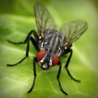 /album/cabastomi/photolia-a01-jpg/