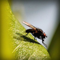 /album/cabastomi/photolia-a04-jpg/