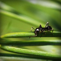 /album/cabastomi/photolia-a05-jpg/