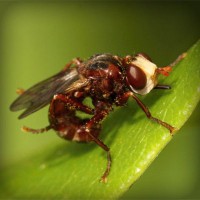 /album/cabastomi/photolia-a06-jpg/