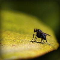 /album/cabastomi/photolia-a07-jpg/