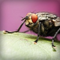 /album/cabastomi/photolia-a08-jpg/